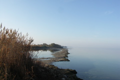 PICT6591.JPG