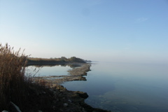 PICT6592.JPG