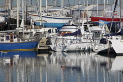PICT6120.JPG