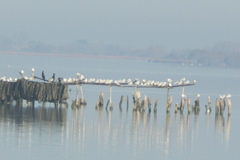 PICT6594.JPG