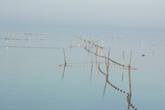 PICT6599.JPG