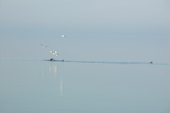 PICT6600.JPG