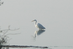 PICT6604.JPG