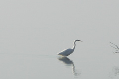 PICT6605.JPG