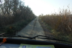 PICT6608.JPG