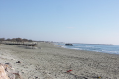 PICT6610.JPG