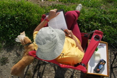 PICT6614.JPG