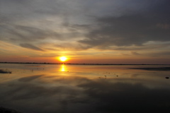 PICT6615.JPG