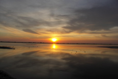 PICT6619.JPG