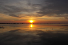 PICT6620.JPG