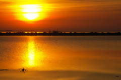 PICT6621.JPG