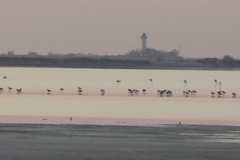 PICT6622.JPG