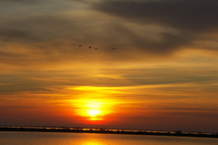 PICT6626.JPG