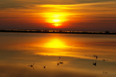 PICT6627.JPG