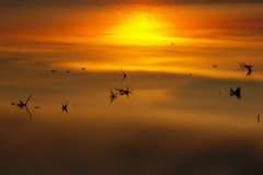 PICT6629.JPG