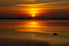 PICT6631.JPG