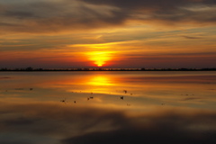 PICT6632.JPG