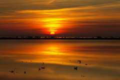 PICT6633.JPG