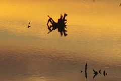 PICT6656.JPG
