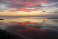 PICT6663.JPG