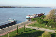 PICT6097.JPG