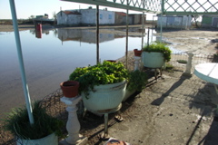 PICT6151.JPG