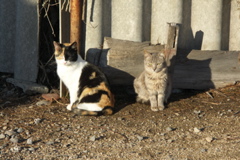 PICT6152.JPG