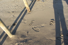 PICT6160.JPG