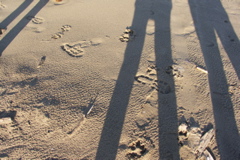 PICT6161.JPG