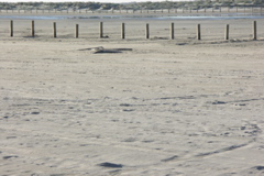 PICT6163.JPG