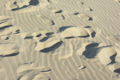 PICT6165.JPG