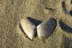 PICT6173.JPG