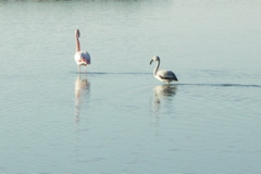 PICT6175.JPG