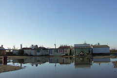 PICT6178.JPG