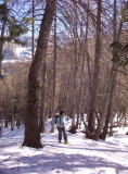100_3729.jpg