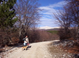 100_3496.jpg