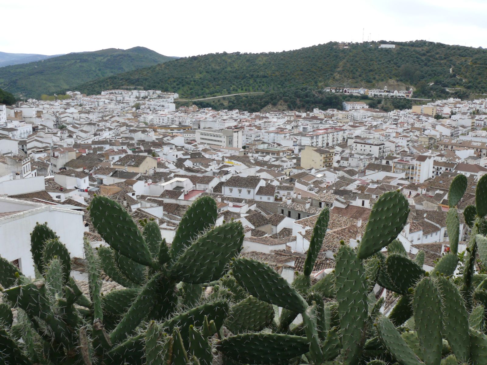 P1070171
