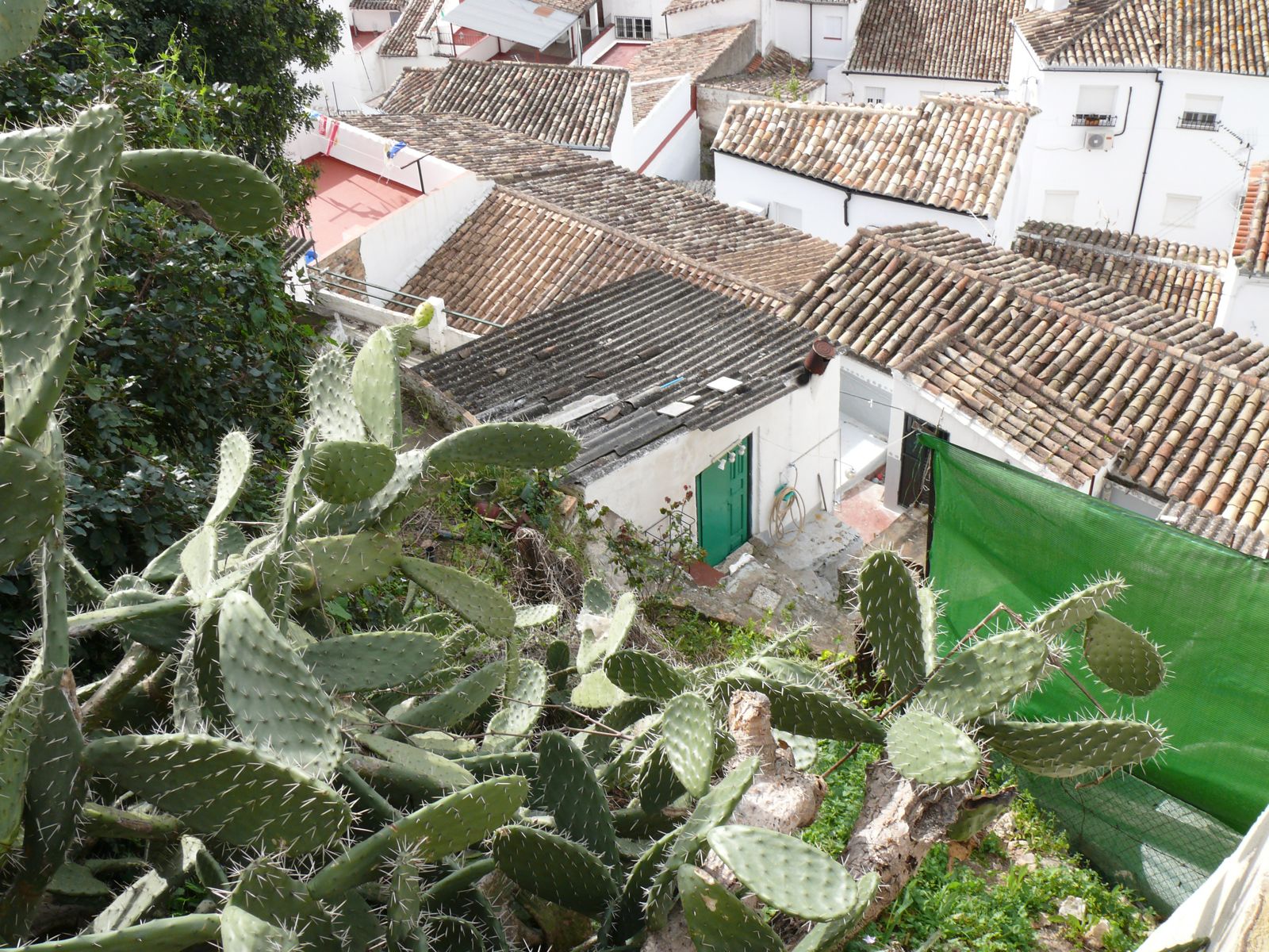 P1070182