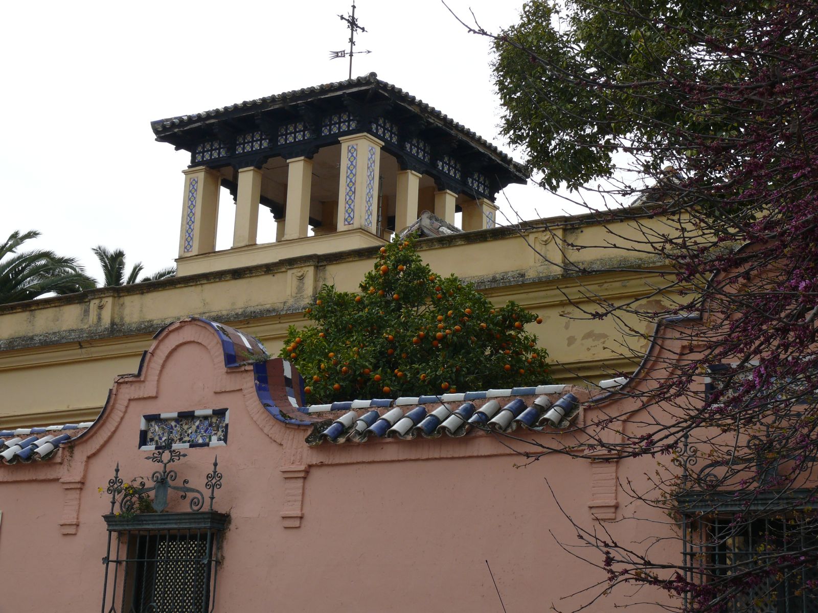P1070217