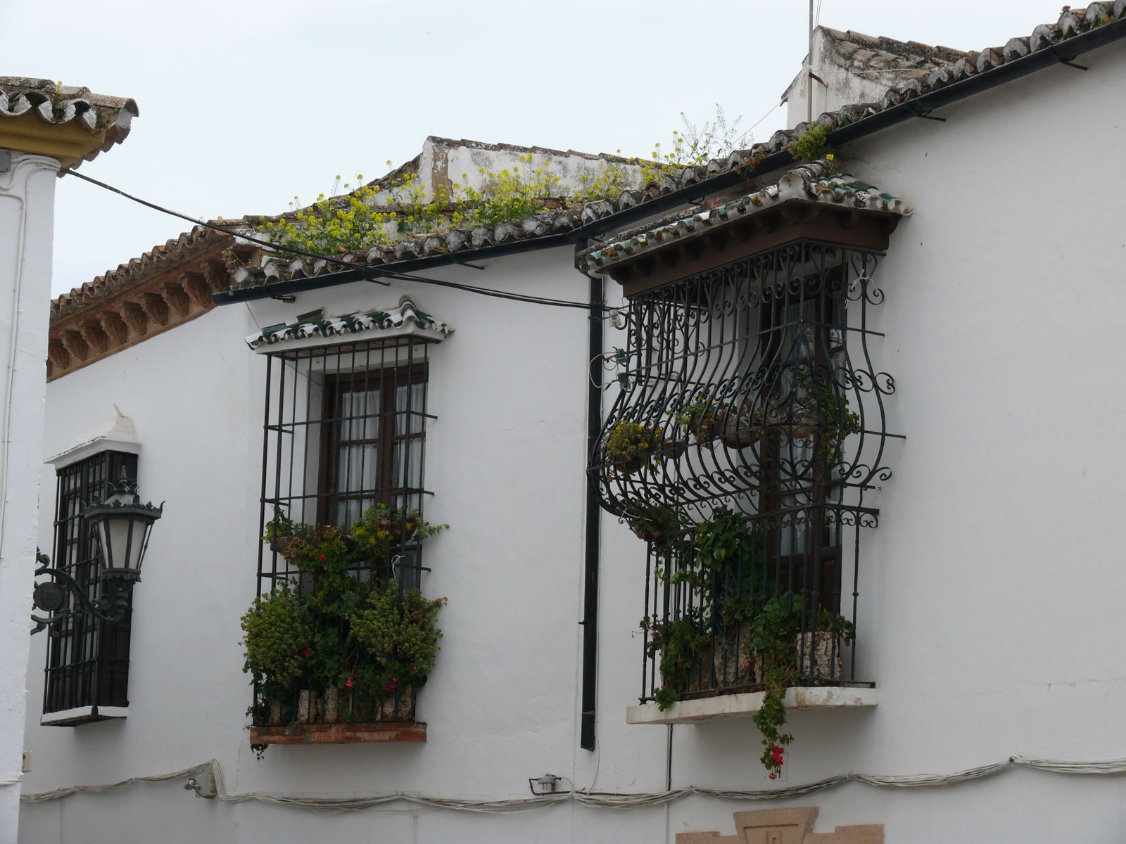 P1070219