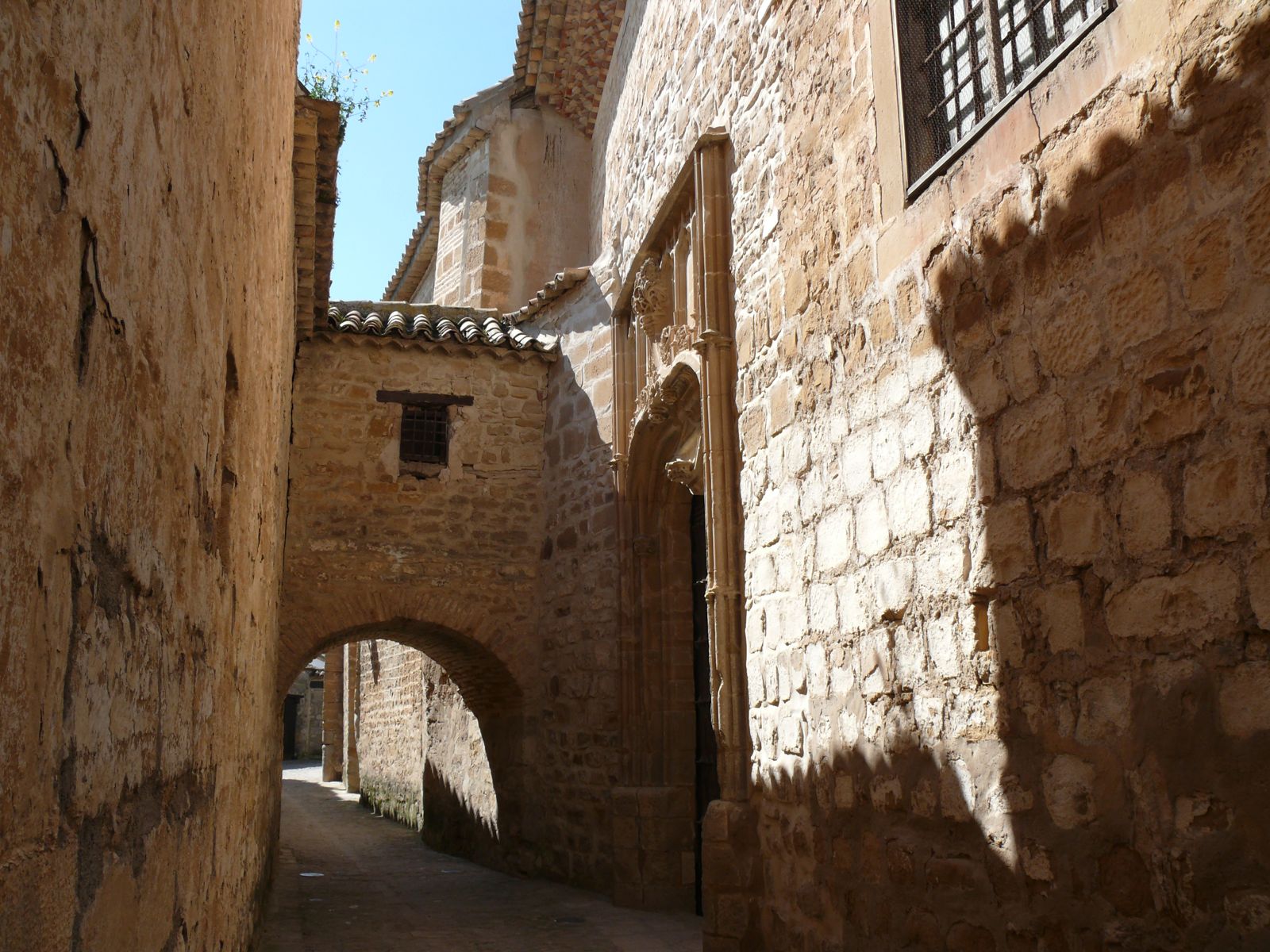 P1070067