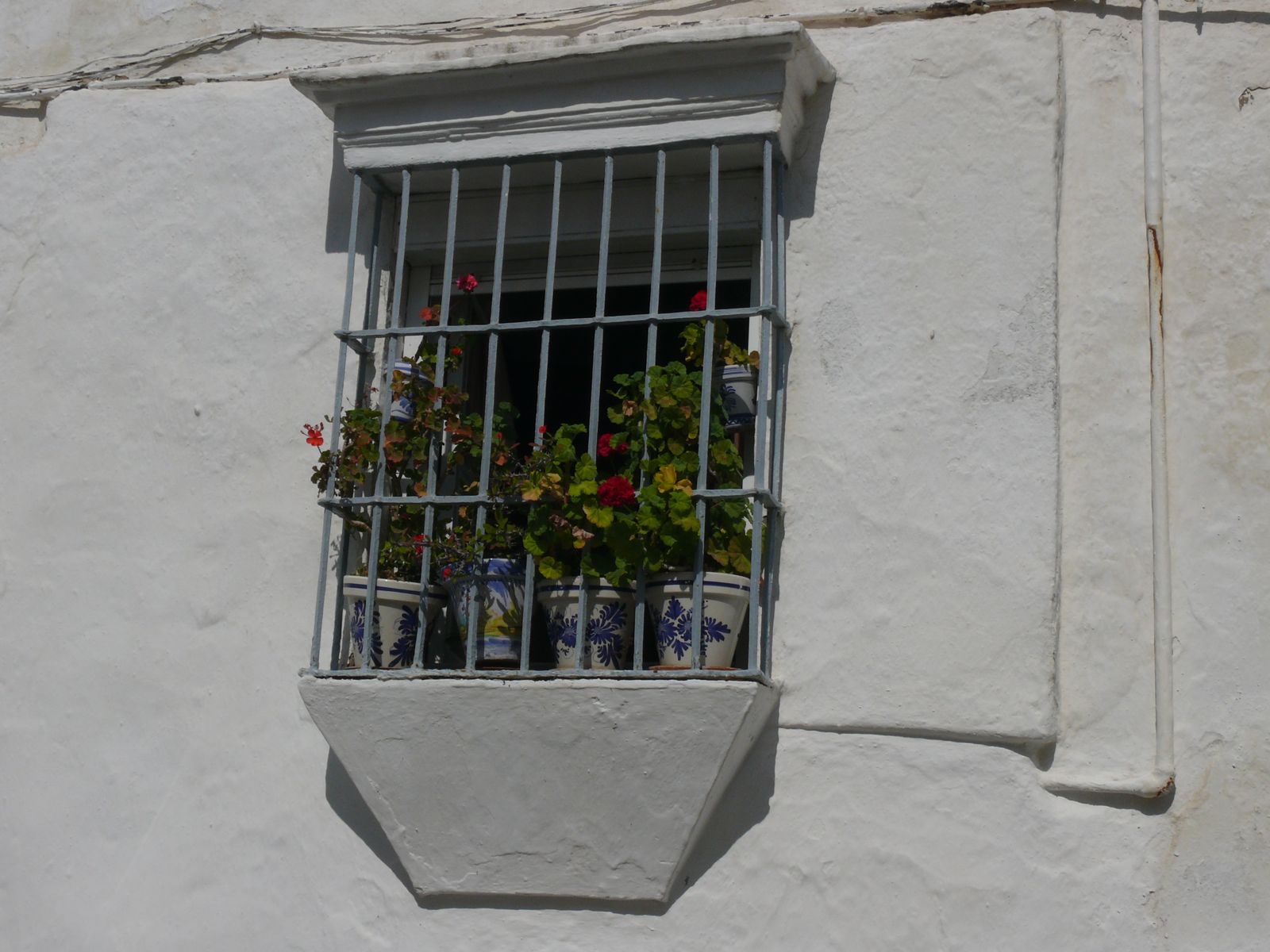 P1070140