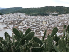 P1070171