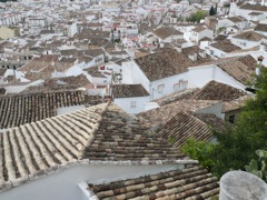P1070174