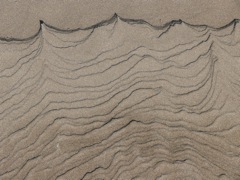 P1070007