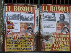 P1070184