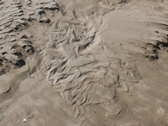 P1070009