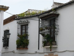P1070219