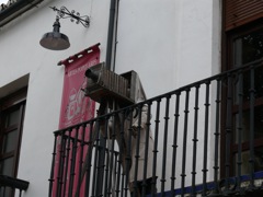 P1070244
