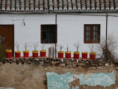 P1070265